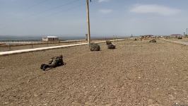 Отдельная общевойсковая армия с высоким профессионализмом выполняет поставленные задачи  (Репортаж)