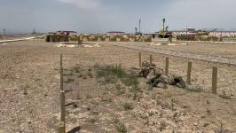 Отдельная общевойсковая армия с высоким профессионализмом выполняет поставленные задачи  (Репортаж)