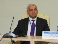 В Баку проходит международная конференция в связи с пропавшими без вести в Первой Карабахской войне (ФОТО)