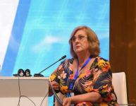 В Баку прошла 2-я Международная гуманитарная конференция по разминированию (ФОТО)