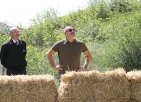 Президент Ильхам Алиев принял участие в церемонии выпуска в природу на территории Лачинского района восточно-кавказских туров и соколов, а также - выпуска в реку Хакари рыб (ФОТО/ВИДЕО)
