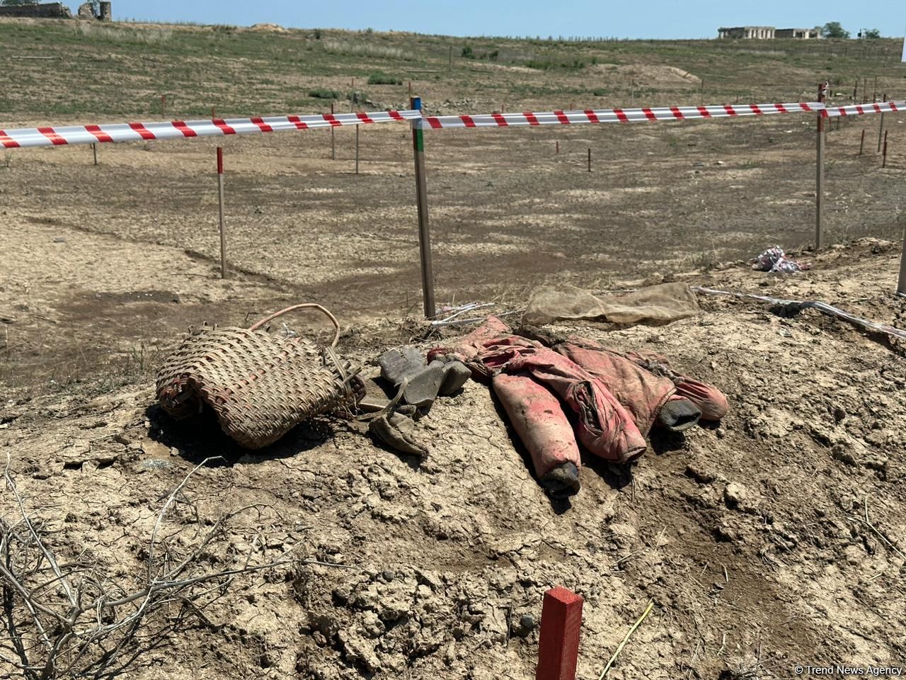 В Агдаме обнаружено массовое захоронение (ФОТО/ВИДЕО)