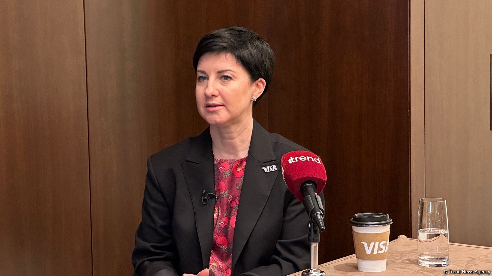Вице-президент Visa рассказала о сотрудничестве с банками Азербайджана