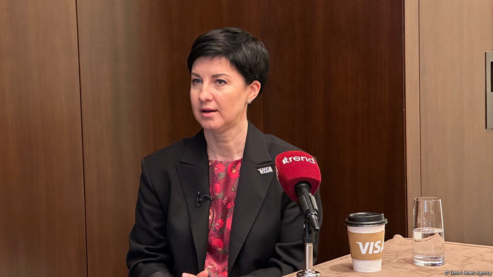 Visa нацелена на внедрение инноваций для финансового рынка Азербайджана (ФОТО/ВИДЕО)