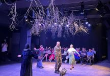 Как у солдата на плече выросла елка - вояж азербайджанцев в Грузию (ФОТО)