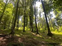 Уникальное творение природы - озеро Гаранохур - Репортаж