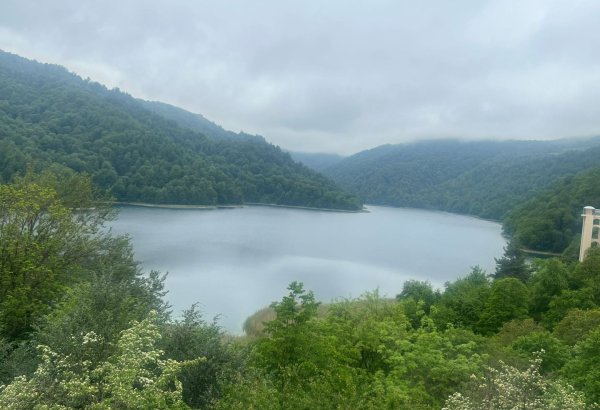 Azerbaijan to leverage drones for monitoring forests