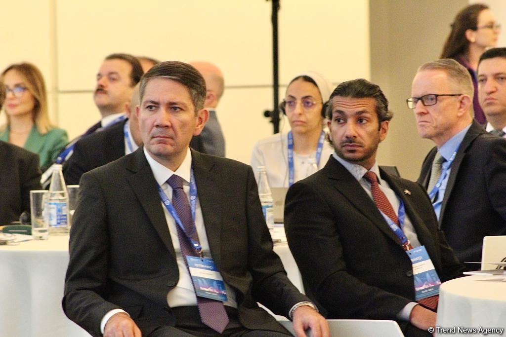 Azerbaijan hosting 'DOST 2023' international conference (PHOTO)