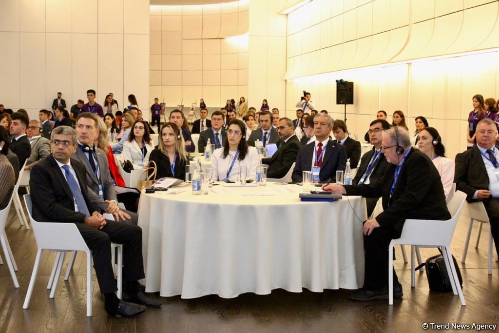 Azerbaijan hosting 'DOST 2023' international conference (PHOTO)