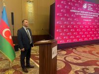 Названо количество туристов, посетивших Азербайджан в этом году (ФОТО)