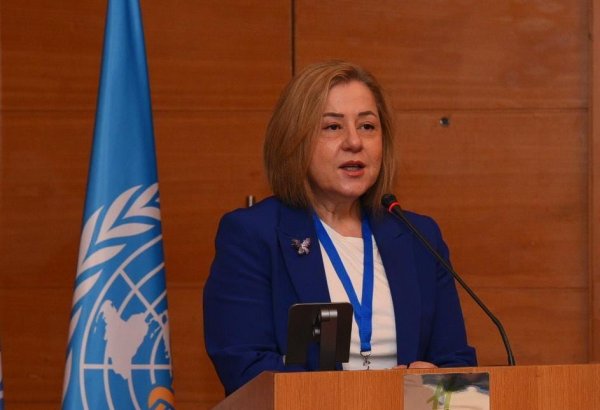 Head of Azerbaijani WHO office congrats President Ilham Aliyev on election win