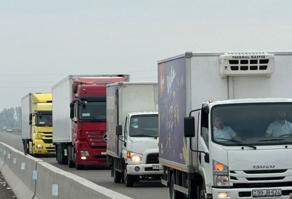 Azerbaijan to offer state support for non-oil exports and shipments from Nakhchivan