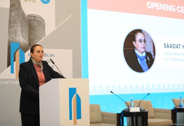 Уничтожено 95 процентов образцов культурного наследия на освобожденных территориях Азербайджана - замминистра культуры