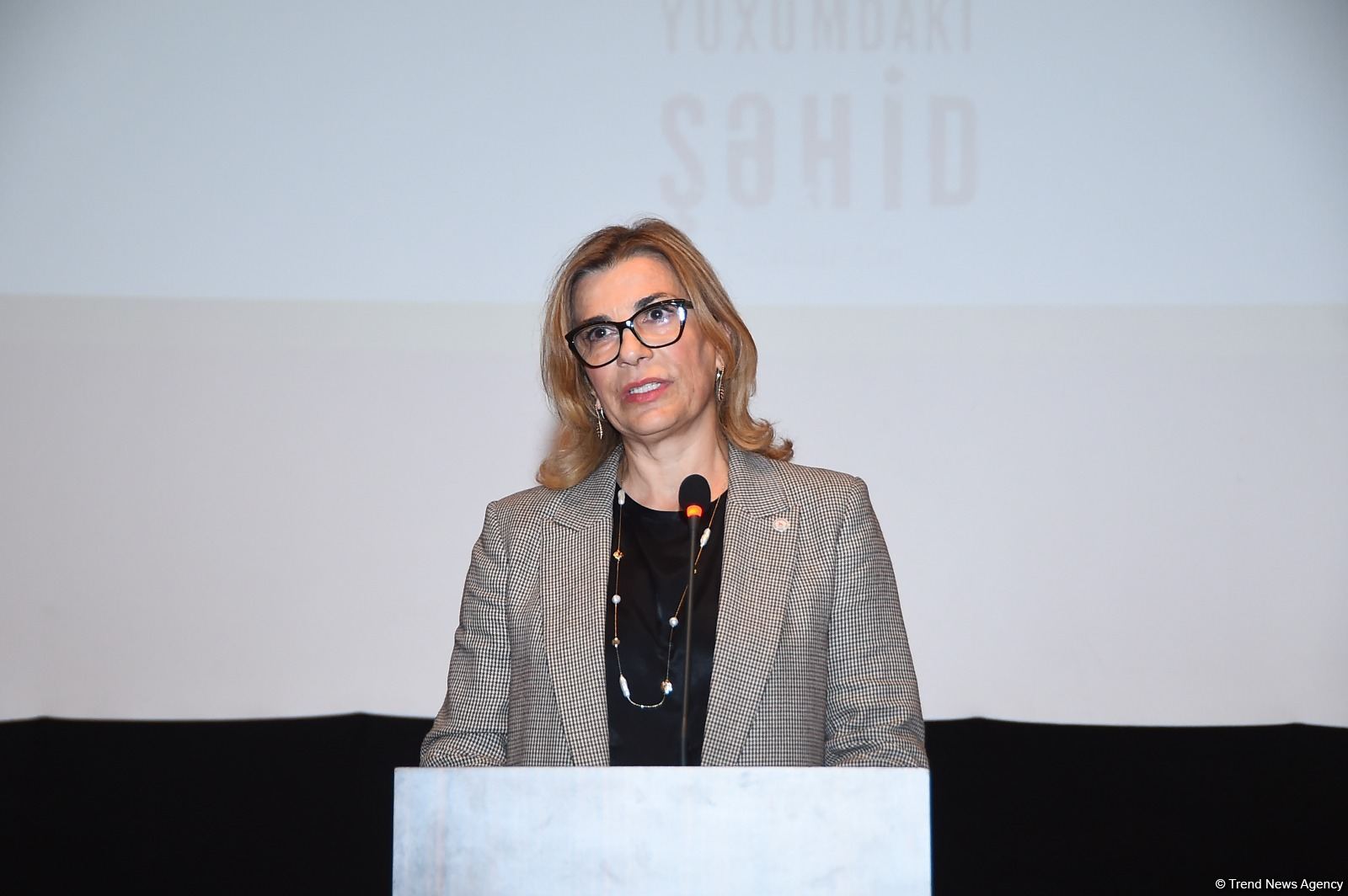 Baku screens film commemorating 2020 second Karabakh war's martyr (PHOTO)