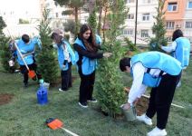 VP of Heydar Aliyev Foundation Leyla Aliyeva attends inauguration of another yard redeveloped under “Bizim həyət” project (PHOTO)