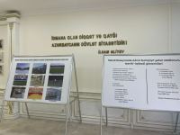 Azerbaijan's Sumgayit city stadium project envisages vast parking spaces - director (PHOTO)