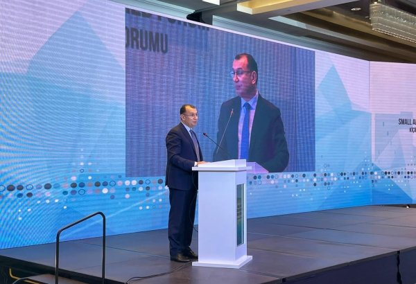 Micro, small and medium firms typify bulk of Azerbaijan's enterprises - deputy minister