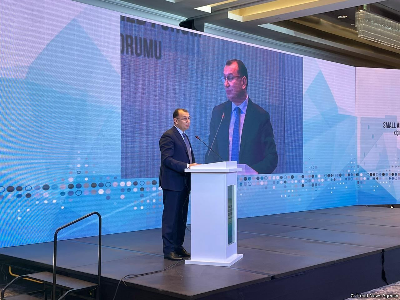 Micro, small and medium firms typify bulk of Azerbaijan's enterprises - deputy minister