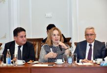 В Азербайджане создан экспертный совет по оценке содержания кинематографических, цифровых и аудиовизуальных произведений (ФОТО)