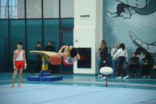 Проходят соревнования чемпионата Азербайджана и первенства Баку по мужской и женской спортивной гимнастике (ФОТО)