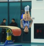 Проходят соревнования чемпионата Азербайджана и первенства Баку по мужской и женской спортивной гимнастике (ФОТО)