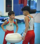 Проходят соревнования чемпионата Азербайджана и первенства Баку по мужской и женской спортивной гимнастике (ФОТО)