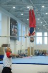 Проходят соревнования чемпионата Азербайджана и первенства Баку по мужской и женской спортивной гимнастике (ФОТО)