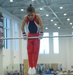 Проходят соревнования чемпионата Азербайджана и первенства Баку по мужской и женской спортивной гимнастике (ФОТО)
