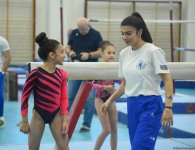 Проходят соревнования чемпионата Азербайджана и первенства Баку по мужской и женской спортивной гимнастике (ФОТО)