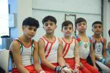 Проходят соревнования чемпионата Азербайджана и первенства Баку по мужской и женской спортивной гимнастике (ФОТО)