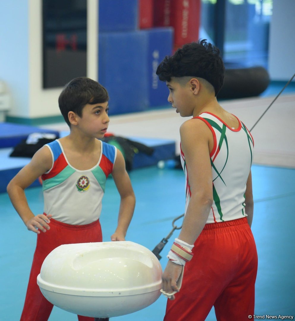 Проходят соревнования чемпионата Азербайджана и первенства Баку по мужской и женской спортивной гимнастике (ФОТО)