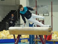 Проходит заключительный соревновательный день чемпионата Азербайджана и первенства Баку по мужской и женской спортивной гимнастике (ФОТО)