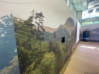 Азербайджан впервые представлен павильоном на COP28 (ФОТОРЕПОРТАЖ)