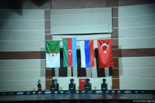 Азербайджанские борцы завоевали пять медалей на чемпионате мира (ФОТО)