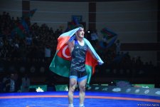 Азербайджанские борцы завоевали пять медалей на чемпионате мира (ФОТО)