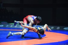 Азербайджанские борцы завоевали пять медалей на чемпионате мира (ФОТО)