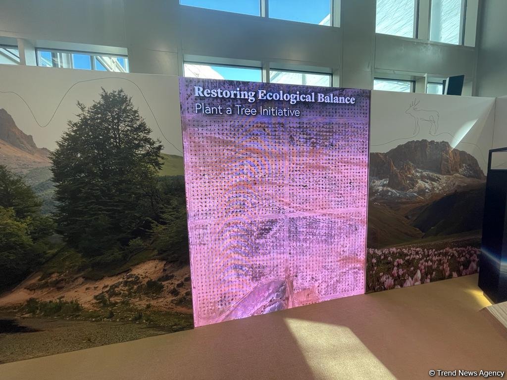 Азербайджан впервые представлен павильоном на COP28 (ФОТОРЕПОРТАЖ)
