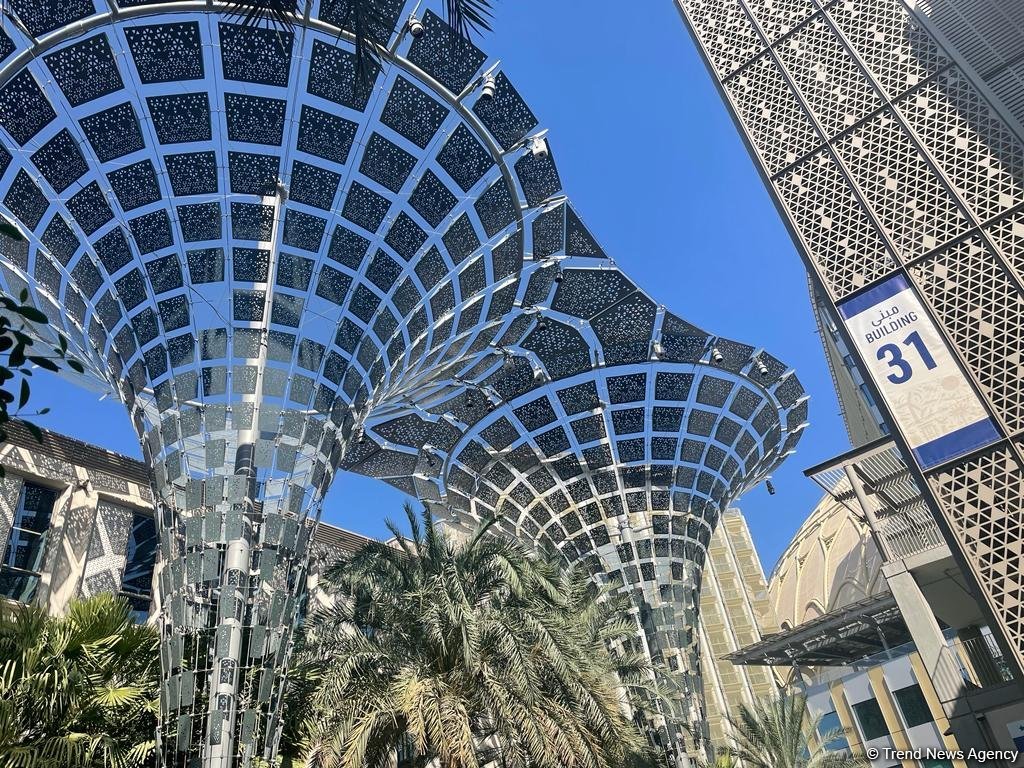 Азербайджан впервые представлен павильоном на COP28 (ФОТОРЕПОРТАЖ)