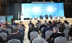 В Зангилане состоялась панельная дискуссия с участием иностранных экспертов (ФОТО)