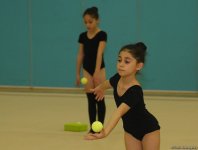 Юные гимнастки из Кюрдамира и Ширвана участвуют в учебно-тренировочных сборах в Национальной арене гимнастики в Баку (ФОТО)