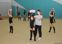 Юные гимнастки из Кюрдамира и Ширвана участвуют в учебно-тренировочных сборах в Национальной арене гимнастики в Баку (ФОТО)