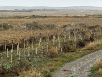 Anti-tank cut, metal spikes, razor wire, mine areas - View of Azerbaijan's Aghdara (PHOTO)