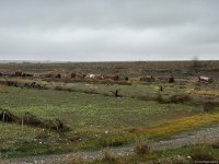 Anti-tank cut, metal spikes, razor wire, mine areas - View of Azerbaijan's Aghdara (PHOTO)