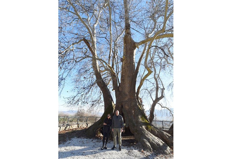 President Ilham Aliyev, First Lady Mehriban Aliyeva visit "Chinar sacred place" monument complex (PHOTO/VIDEO)