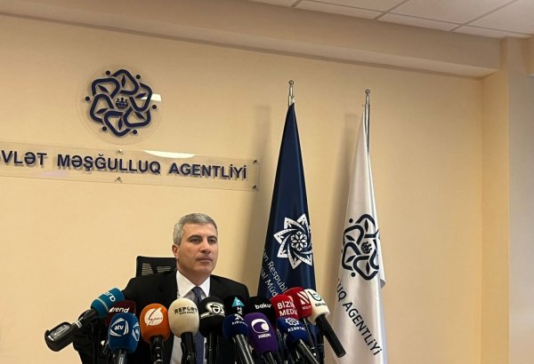 Названо количество лиц, привеченных в программу самозанятости в Азербайджане в 2023 году