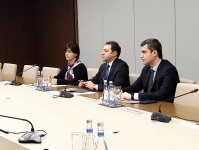 CIS SecGen highlights importance of upcoming presidential election in Azerbaijan  (PHOTO)