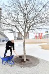 President Ilham Aliyev views construction, redevelopment works, conditions created in Office building in Central Park Quarter of Baku White City (PHOTO)