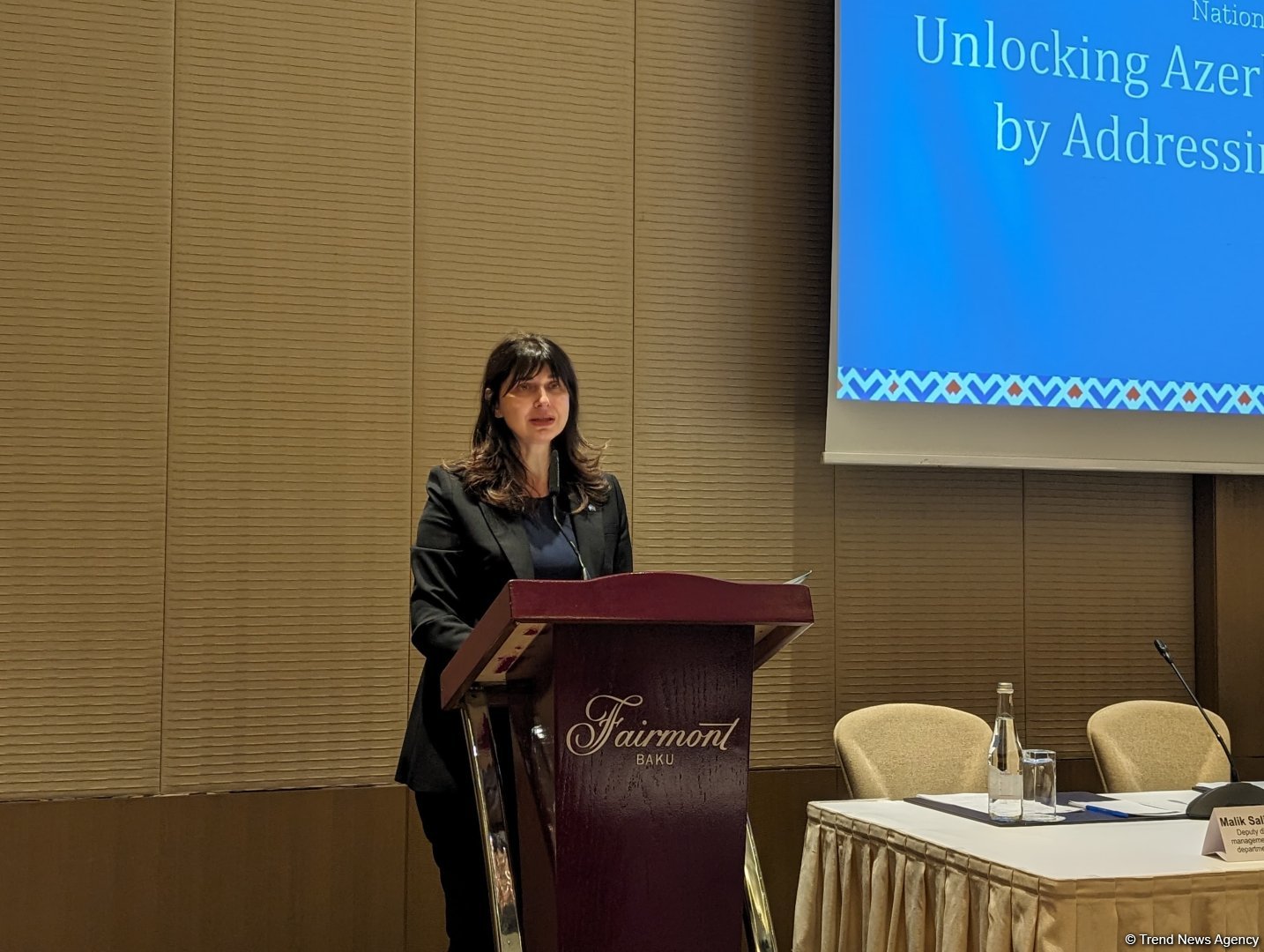 ITC commits to support Azerbaijan's export development - UN resident coordinator