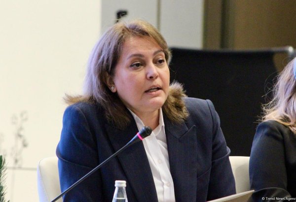 Во время COP29 планируется провести переговоры по стратегии водной безопасности - Умайра Тагиева