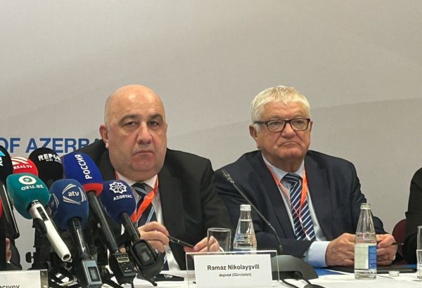 Azerbaijan's extraordinary election proves technically well-organized - Georgian MP